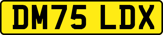 DM75LDX