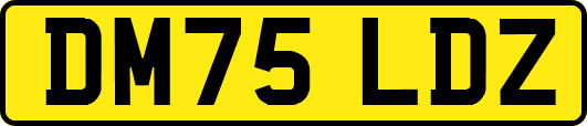 DM75LDZ
