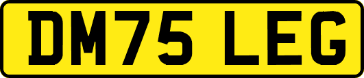 DM75LEG