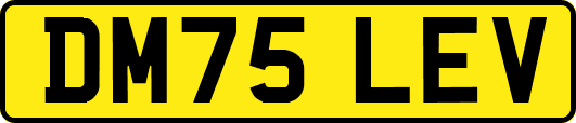 DM75LEV