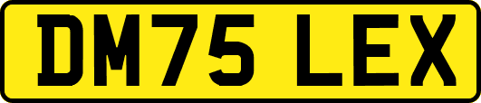 DM75LEX