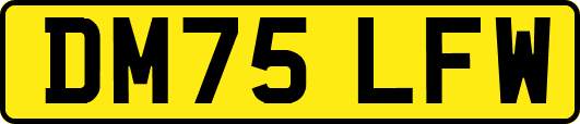 DM75LFW