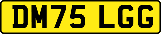DM75LGG