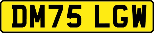 DM75LGW