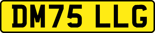 DM75LLG