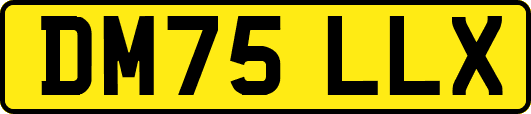 DM75LLX
