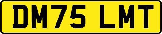 DM75LMT