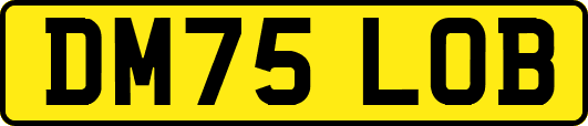 DM75LOB