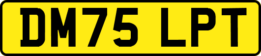 DM75LPT