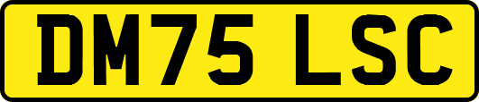 DM75LSC