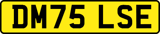 DM75LSE