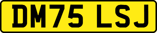 DM75LSJ