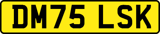 DM75LSK