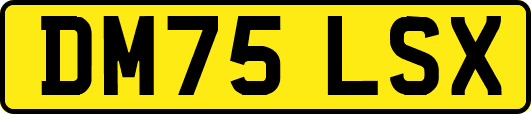 DM75LSX