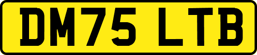 DM75LTB