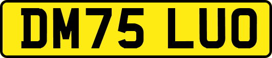 DM75LUO