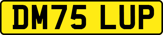 DM75LUP