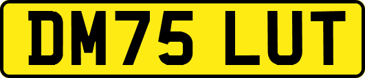 DM75LUT