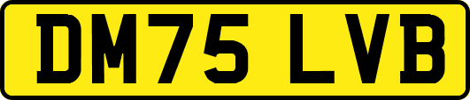 DM75LVB