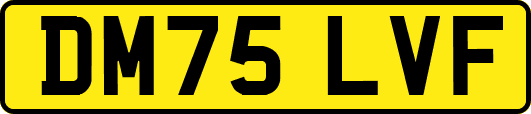 DM75LVF