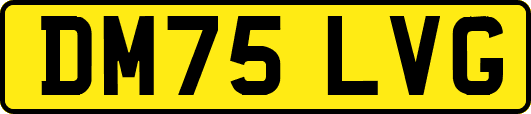DM75LVG