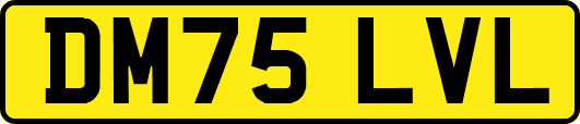 DM75LVL
