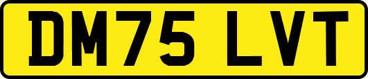 DM75LVT