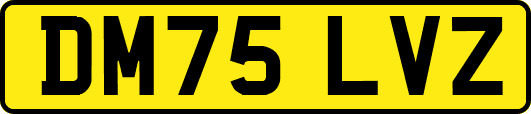 DM75LVZ
