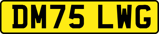 DM75LWG