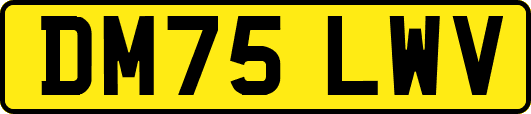 DM75LWV