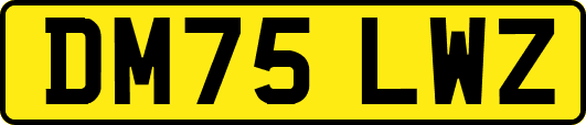 DM75LWZ