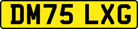 DM75LXG