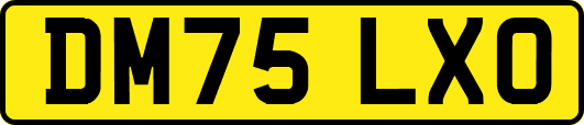 DM75LXO