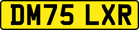 DM75LXR