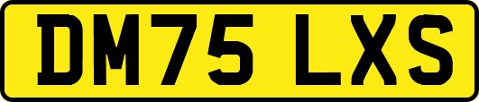 DM75LXS