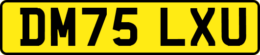 DM75LXU