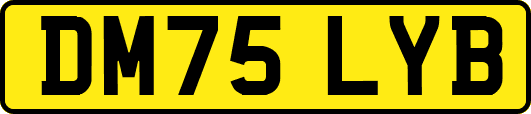 DM75LYB