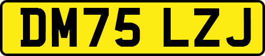 DM75LZJ