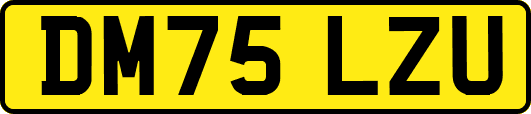DM75LZU