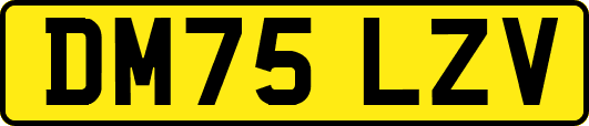 DM75LZV