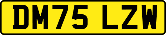DM75LZW