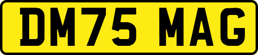 DM75MAG