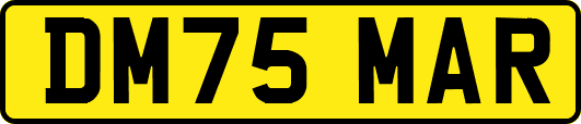 DM75MAR