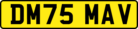 DM75MAV