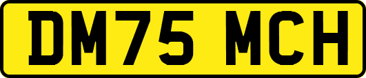 DM75MCH