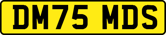 DM75MDS