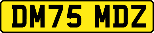 DM75MDZ