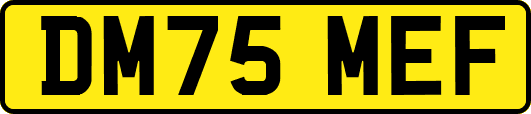 DM75MEF