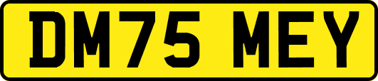 DM75MEY