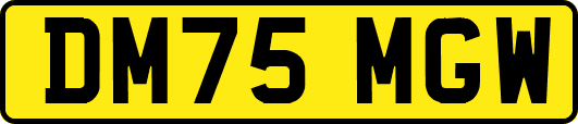 DM75MGW